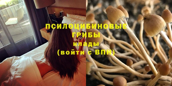 ALPHA-PVP Белокуриха